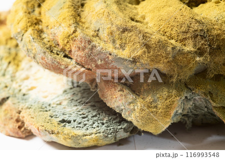 Bread with bacterium of mold . Macro photography 116993548