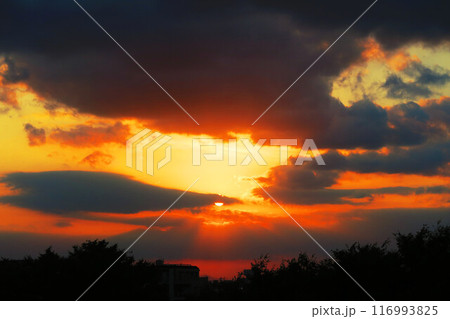 暗雲も広がる夕焼け空のダイナミックな風景 暗雲も広がる夕焼け空のダイナミックな風景 116993825