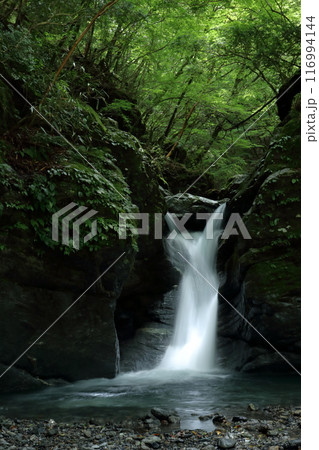 奥祖谷　男橋の近くで佇む丸石滝　(徳島県　三好市） 116994144