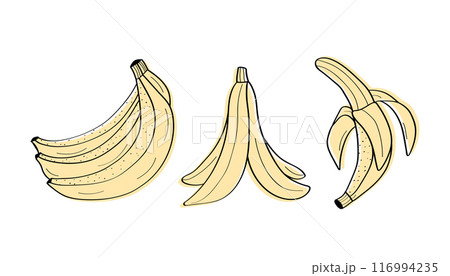 Banana fruit cartoon sketch icons set. Vector illustration concept of for diet, healthy food, doodle style. 116994235