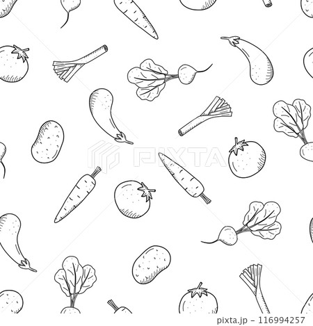 Seamless Pattern of drawing vegetables in doodle style. A set of vector illustrations of the harvest corn potatoes carrots radishes beets garlic onions tomatoes, etc. Seamless Pattern of drawing vegetables in doodle style. A set of vector illustrations of the harvest corn potatoes carrots radishes beets garlic onions tomatoes, etc. 116994257