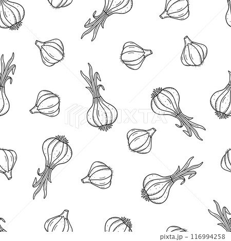 Seamless pattern with onion and garlic head, vector illustration of healthy vegetables, seasoning for dishes. 116994258