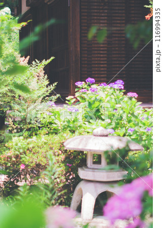 紫陽花のある寺 116994335