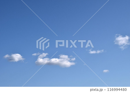 青空に浮かぶ白い雲 116994480