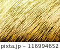 きらめく金の背景　墨斜線　正月　年賀　素材 116994652