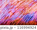 墨跡　全画面　斜線　テクスチャ 116994924