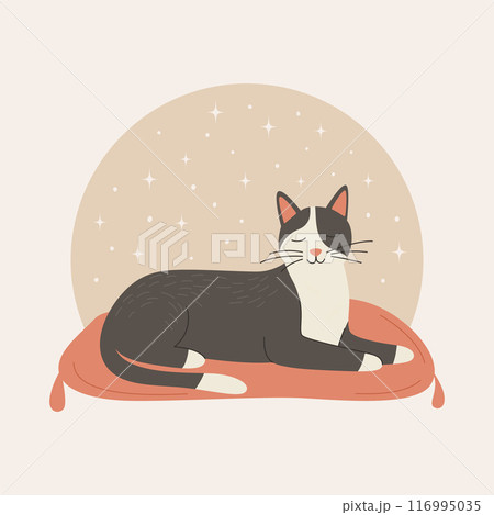 Vector Flat Grey Dreaming Cat. Cartoon Cat Lying on the Mat. Cute and Funny Cat in Front View 116995035
