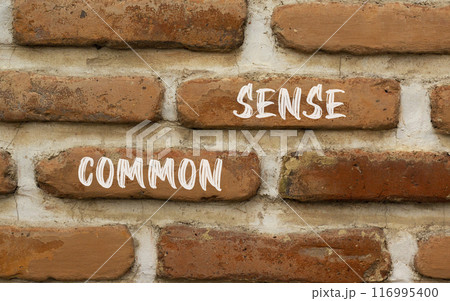 Common sense symbol. Concept words Common sense on beautiful brown bricks. Beautiful brick wall background. Beautiful brick wall. Business, motivational common sense concept. Copy space. 116995400