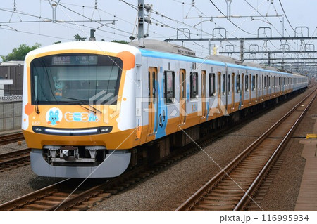 小田急5000形2代目 5055F もころん号 オレンジ側 小田原寄 小田急5000形2代目 5055F もころん号 オレンジ側 小田原寄 116995934