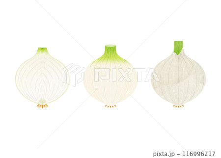 白たまねぎ 116996217