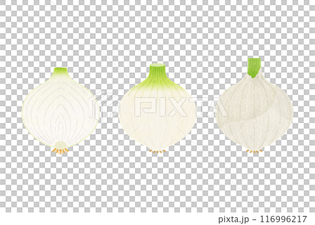 白たまねぎ 116996217