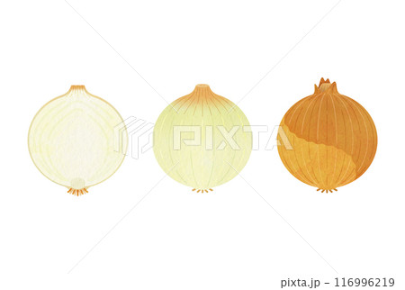 黄たまねぎ 116996219