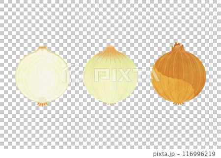 黄たまねぎ 116996219