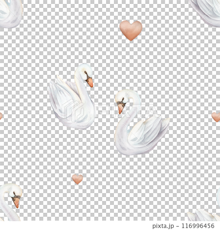 Watercolor seamless pattern with couple of cute swans in love. Hand painted illustration isolated on white background. For textile of white pastel colors bird and red hearts. 116996456
