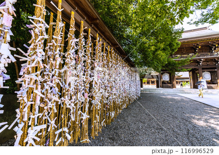 日本の寒川都市景観 相模國一之宮 寒川神社。緑が多い=令和6年7月21日 日本の寒川都市景観 相模國一之宮 寒川神社。緑が多い=令和6年7月21日 116996529