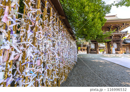 日本の寒川都市景観 相模國一之宮 寒川神社。緑が多い=令和6年7月21日 日本の寒川都市景観 相模國一之宮 寒川神社。緑が多い=令和6年7月21日 116996532