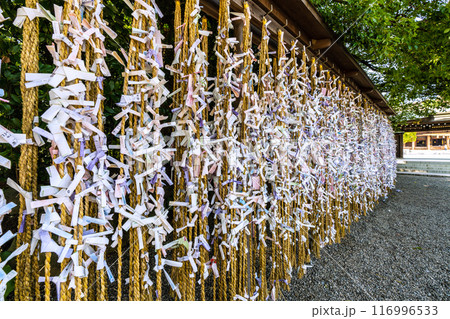 日本の寒川都市景観 相模國一之宮 寒川神社。緑が多い=令和6年7月21日 日本の寒川都市景観 相模國一之宮 寒川神社。緑が多い=令和6年7月21日 116996533