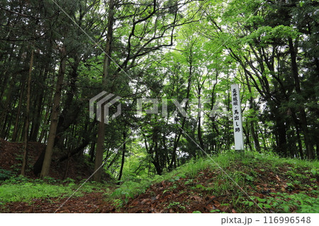 長井坂城跡 116996548