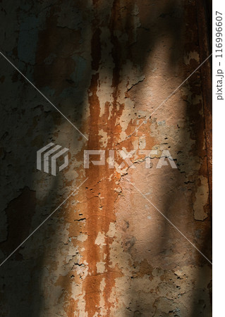 wall of an old large chimney, close-up wall with rusty smudges and a green bush nearby 116996607