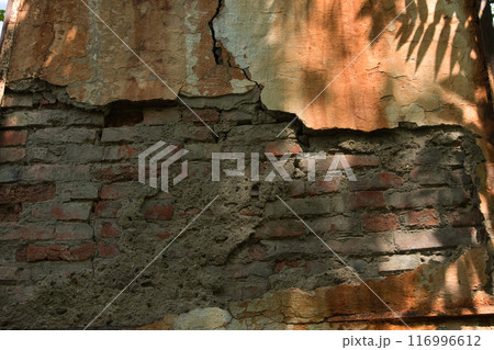 wall of an old large chimney, close-up wall with rusty smudges and a green bush nearby 116996612