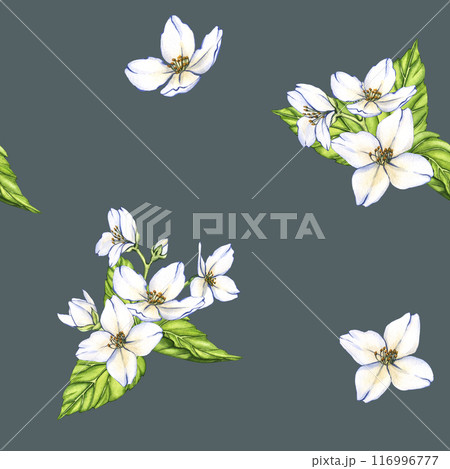 Watercolor seamless pattern of flowers and branches Jasmine isolated on a blue background. Floral illustration for design greeting cards, wedding invitations, natural cosmetics, packaging and tea 116996777