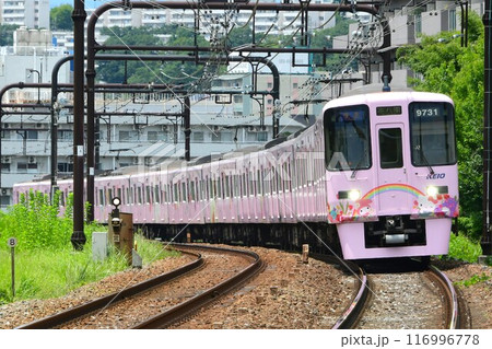 京王9000系30番台 9731F サンリオラッピングトレイン 京王9000系30番台 9731F サンリオラッピングトレイン 116996778