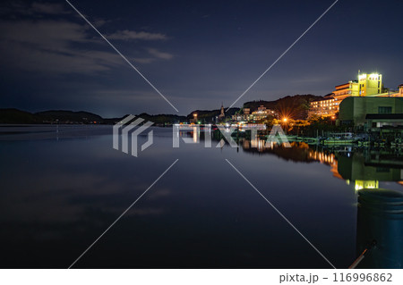 夜の闇に浮かぶ舘山寺の風景(静岡県) 116996862
