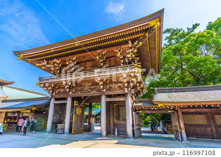 日本の寒川都市景観　相模國一之宮 寒川神社。緑が多いなどを望む＝令和6年7月21日 116997108