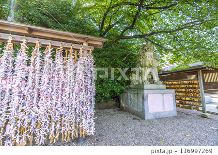 日本の寒川都市景観　相模國一之宮 寒川神社。おみくじ…＝令和6年7月21日 116997269