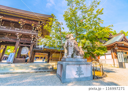 日本の寒川都市景観 相模國一之宮 寒川神社・八方除御祈念受付など望む=令和6年7月21日 日本の寒川都市景観 相模國一之宮 寒川神社・八方除御祈念受付など望む=令和6年7月21日 116997271