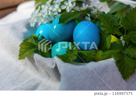Enchanted Blue and Green Eggs Nestled in a White Bag Enchanted Blue and Green Eggs Nestled in a White Bag 116997375