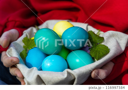 Discovering Treasures 116997384