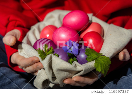 Rainbow Harvest 116997387