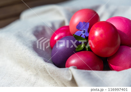 Enigmatic Red and Purple Eggs in a Delicate White Cloth 116997401