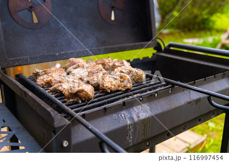 Grilled Meats on a Backyard BBQ Grilled Meats on a Backyard BBQ 116997454