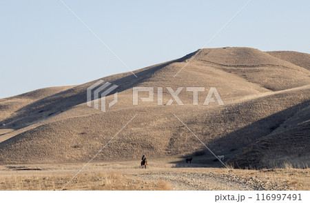 A Majestic Ride Through the Georgia Mountains 116997491