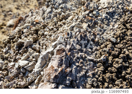 Eroded Earth 116997493