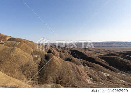 Majestic Desert Vista Majestic Desert Vista 116997499