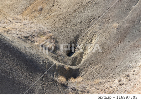 Whispering Passage 116997505