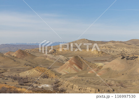 Majestic Desert Vista 116997530