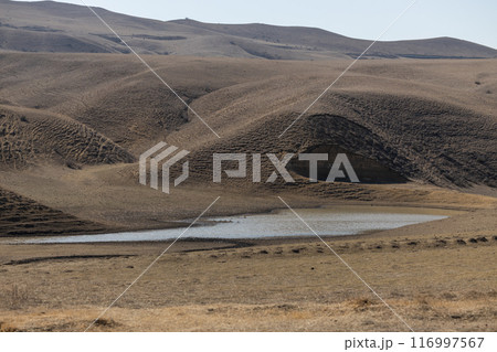 Oasis of Solitude Oasis of Solitude 116997567