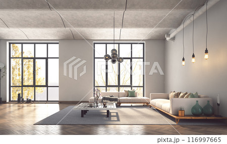 a modern living room 116997665
