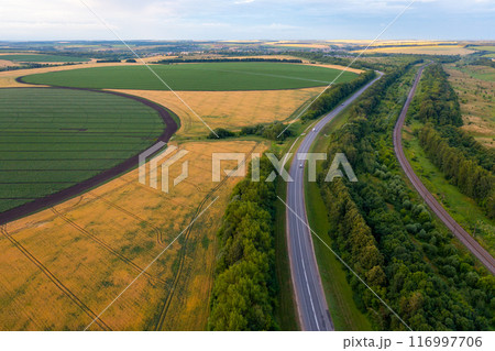 Rural Serenity 116997706