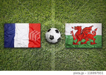 France vs. Wales flags on soccer field 116997931