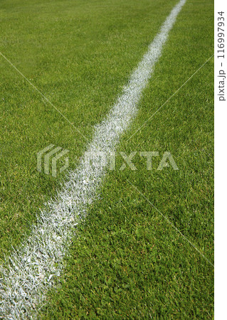 Green soccer field Green soccer field 116997934