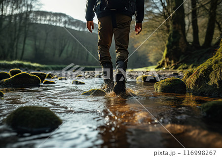 Journey to Tranquility Exploring Nature's Serenity Along a Forest Stream. created with Generative AI 116998267