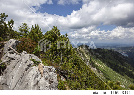Mountain hiking at Brecherspitze mountain, Bavaria, Germany in summertime Mountain hiking at Brecherspitze mountain, Bavaria, Germany in summertime 116998396