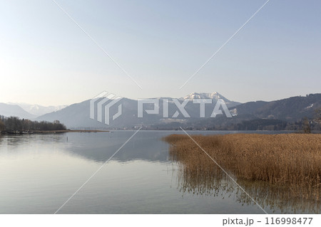 Panorama of lake Tegernsee, Bavaria, Germany 116998477
