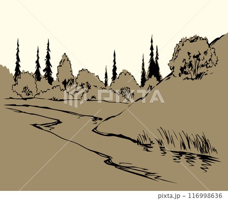 Vector drawing. Summer river scene 116998636