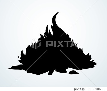 Vector drawing. Big camp fire 116998660